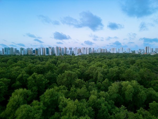 Idée déco de fête : des gobelets personnalisés