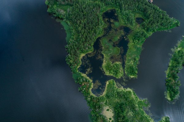 Cabinet d'avocat à nice : votre allié en droit familial et commercial