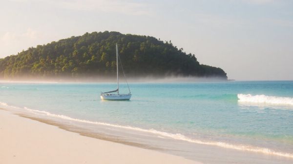 Découverte immersive de l'écotourisme sur l'île de Marie-Galante